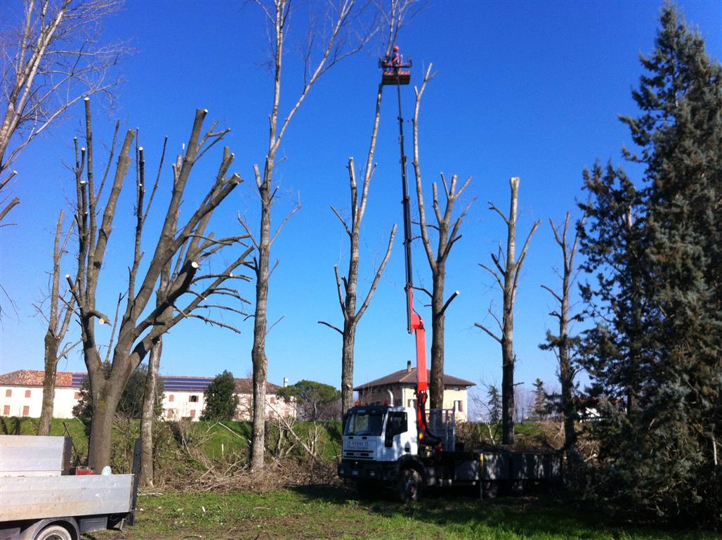 Abbattimento alberi Lombardia